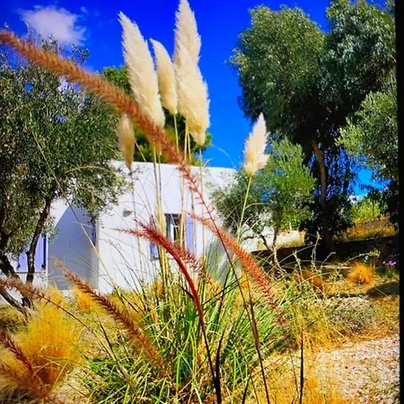 Orasea With Private Pool