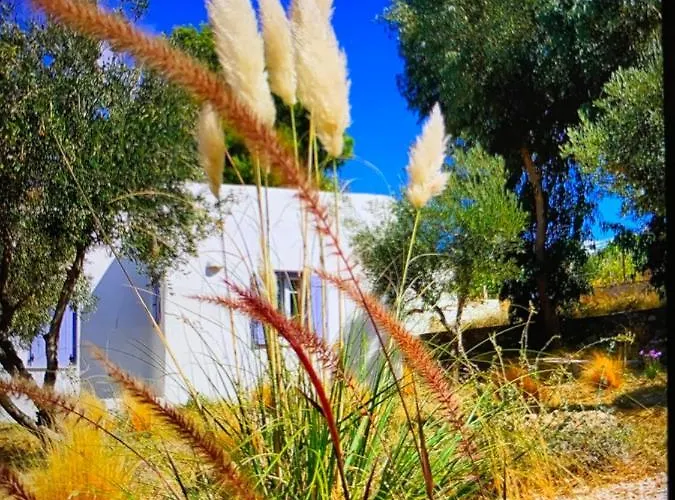 Orasea With Private Pool